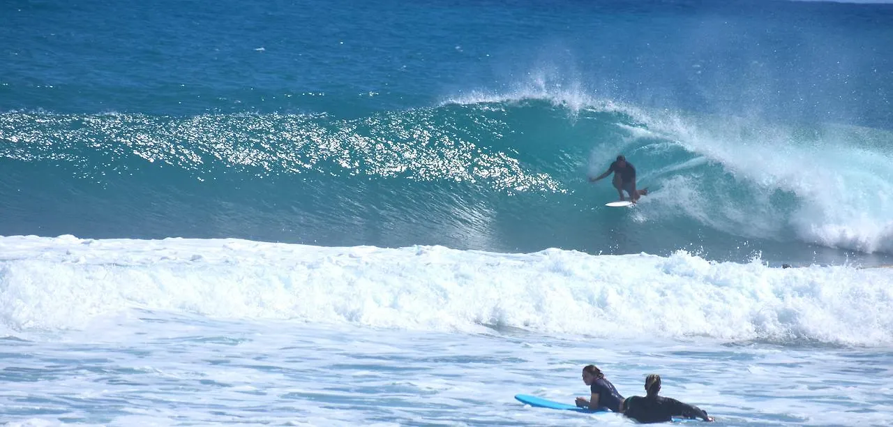 El Encuentro Surf Lodge Cabarete Hotel